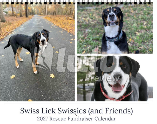 Swiss Luck Swissies Calendar